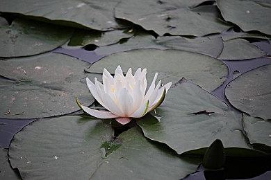 黑暗冒险《戈德》：全新DLC“联盟”将于2月28日登陆